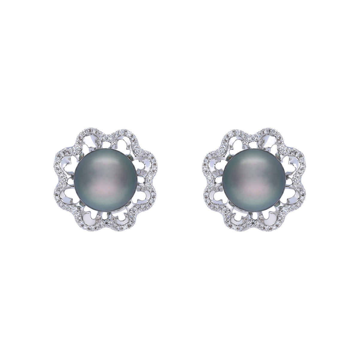 18k White Gold Earring With 9mm South Sea Black Pearl