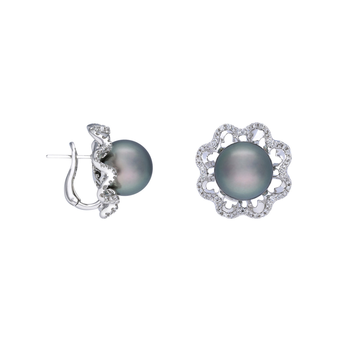 18k White Gold Earring With 9mm South Sea Black Pearl